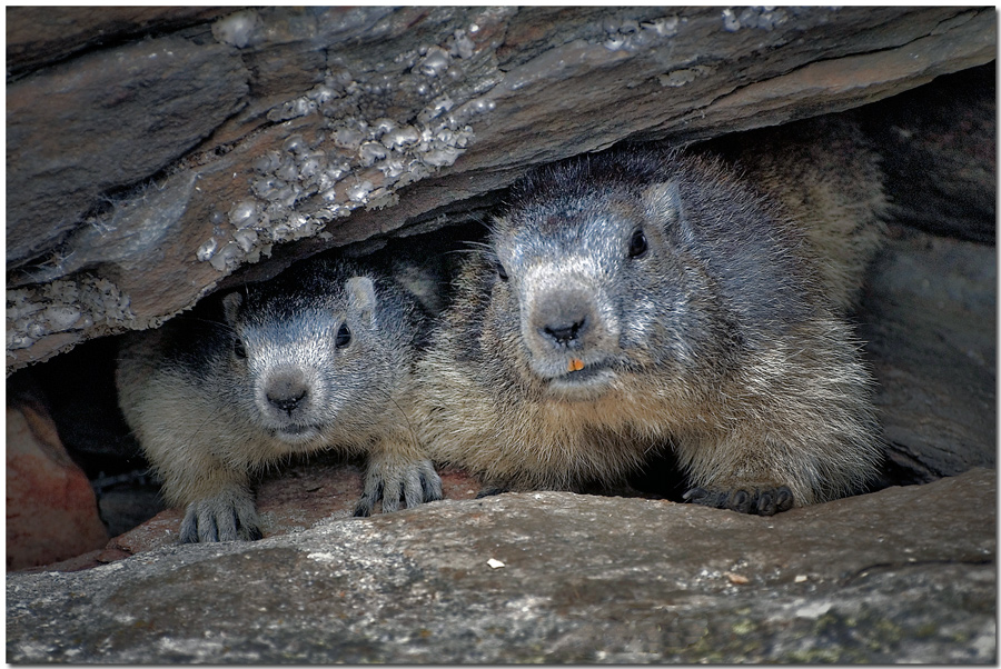 questo chi � mamma ?
