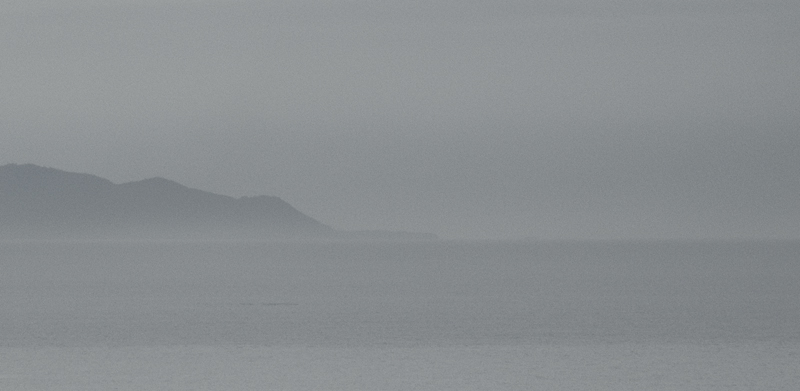 Verso le nebbie di Leucosia