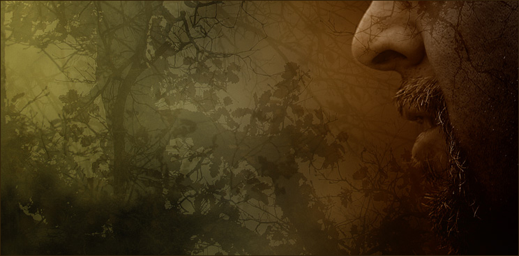 Cosimo in natural levels