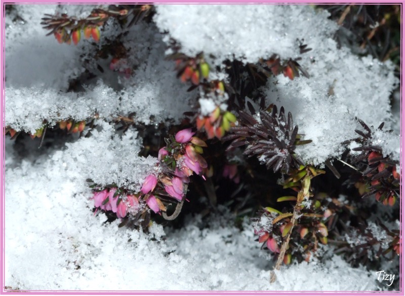 Fa freddo, ma resisto