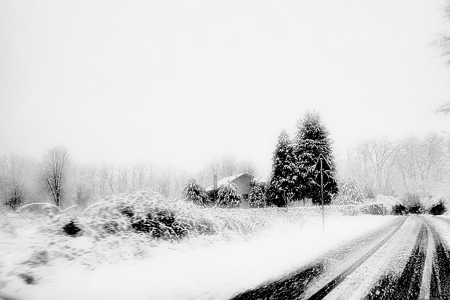 Una strada nel bosco