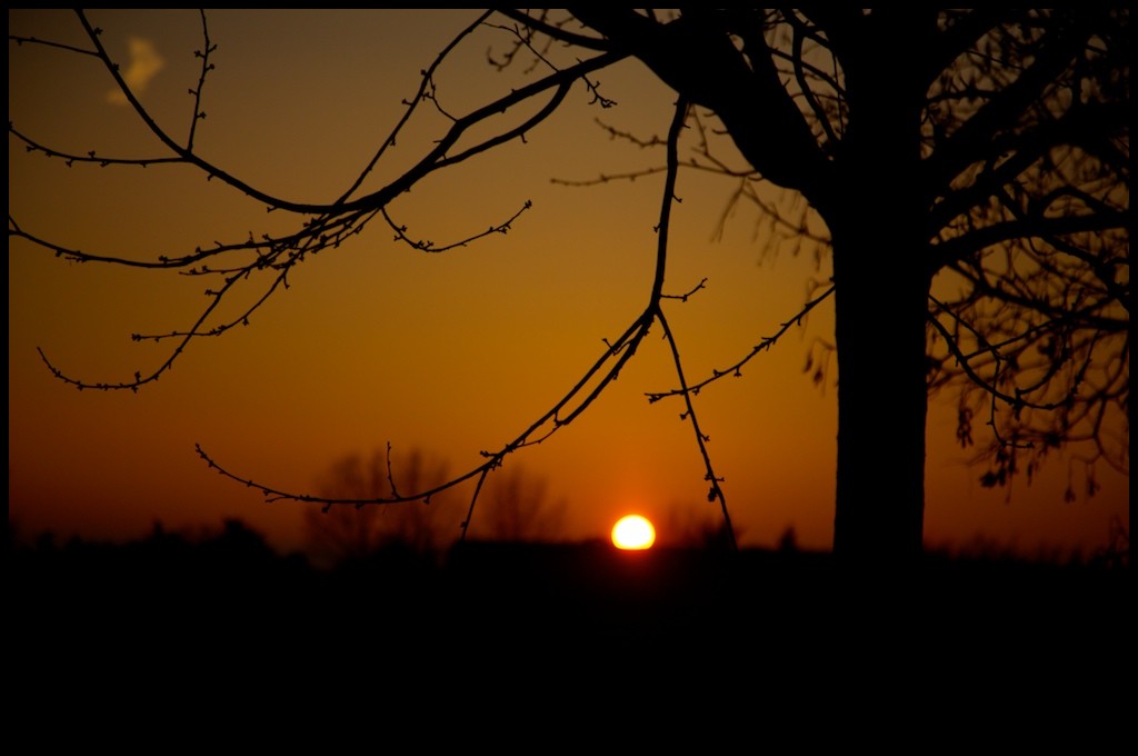 la prima foto del 2008