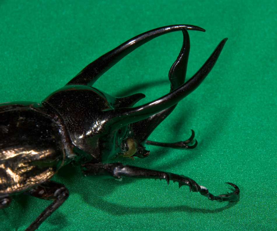 Era sotto le coperte