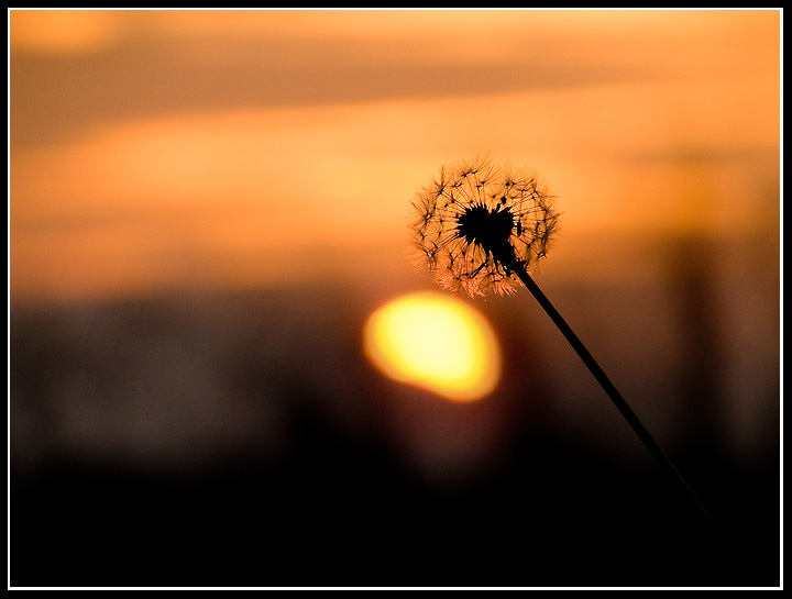 Tra luce e contrasto..