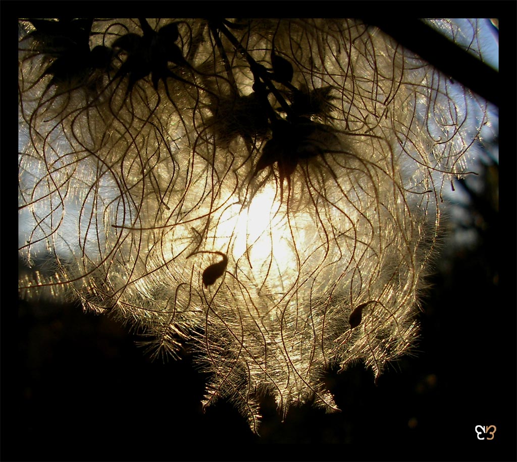 Behind the curtain there's a new day...