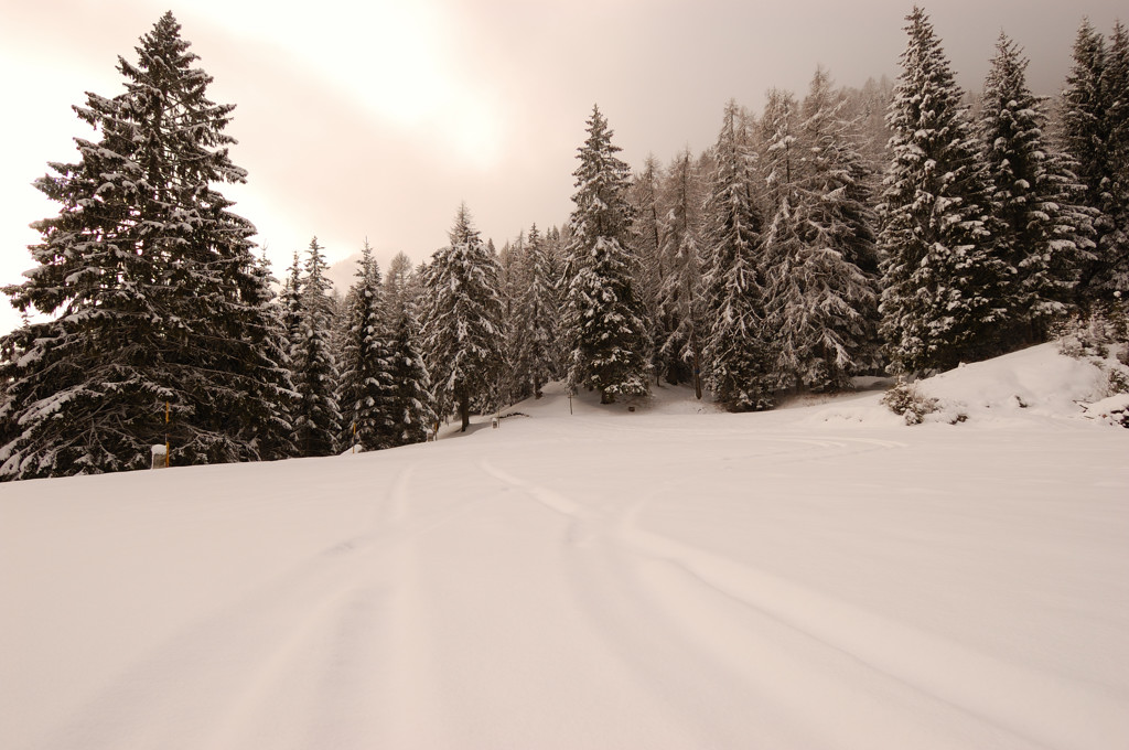 bn senza conversione