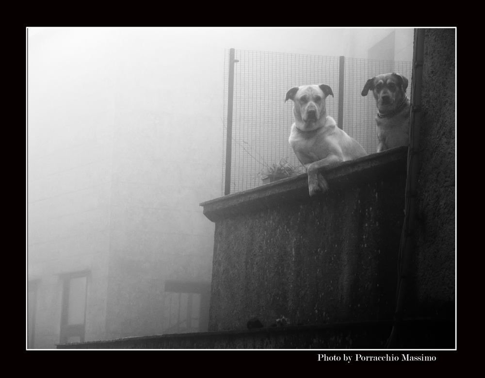 Erice con i gurdiani