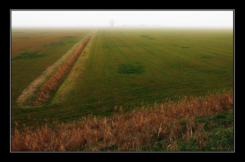 La nebbia all'orizzonte...
