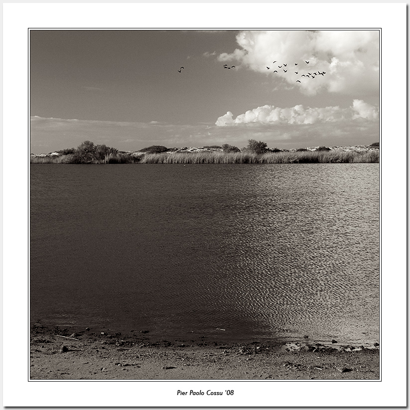 migrazione invernale