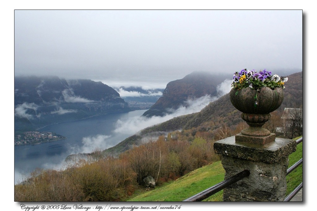 Fiori sul lago con firma