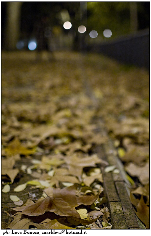 confusa nell'autunno