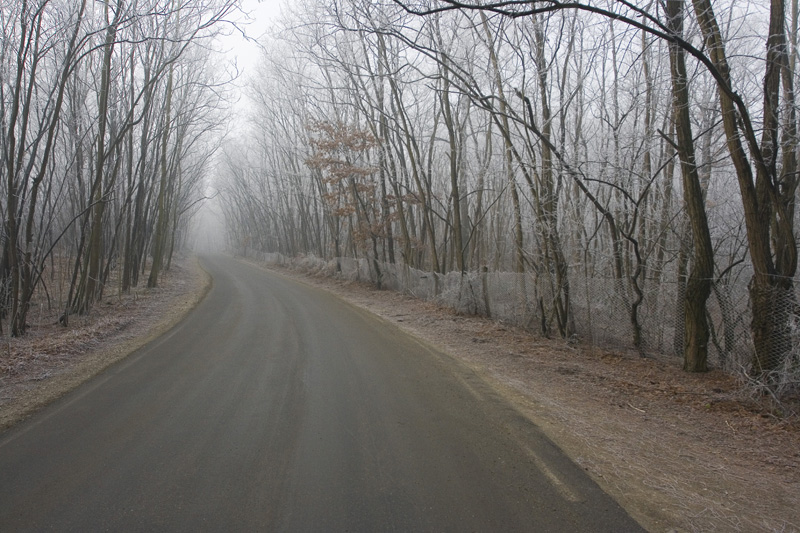 L'inverno per strada