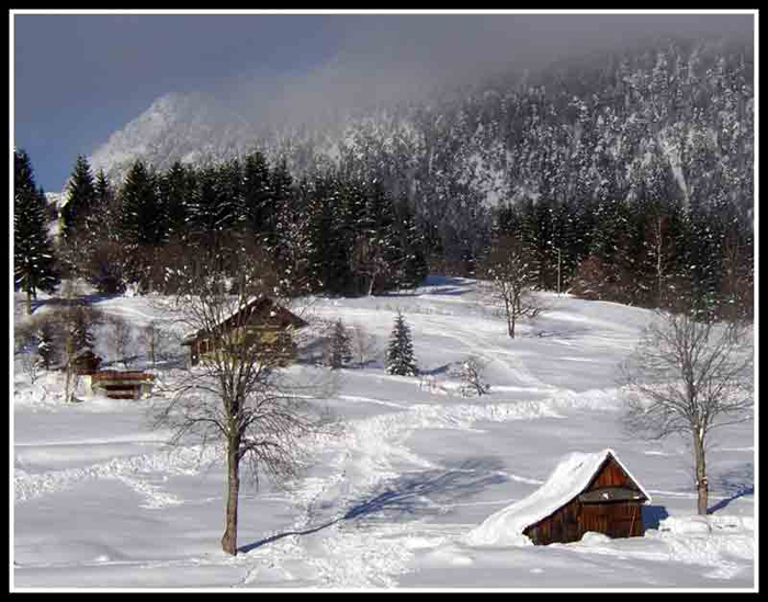 Neve a Tarvisio