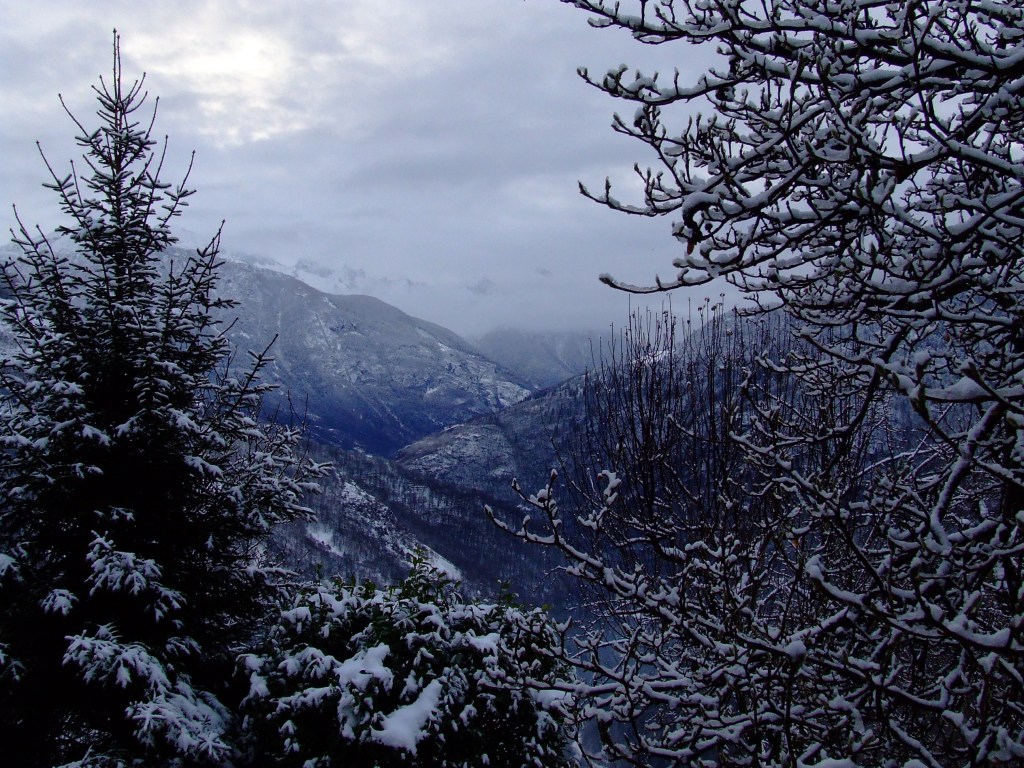 Dalla finestra di casa