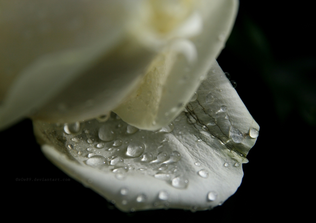 cosa nascondono i sogni