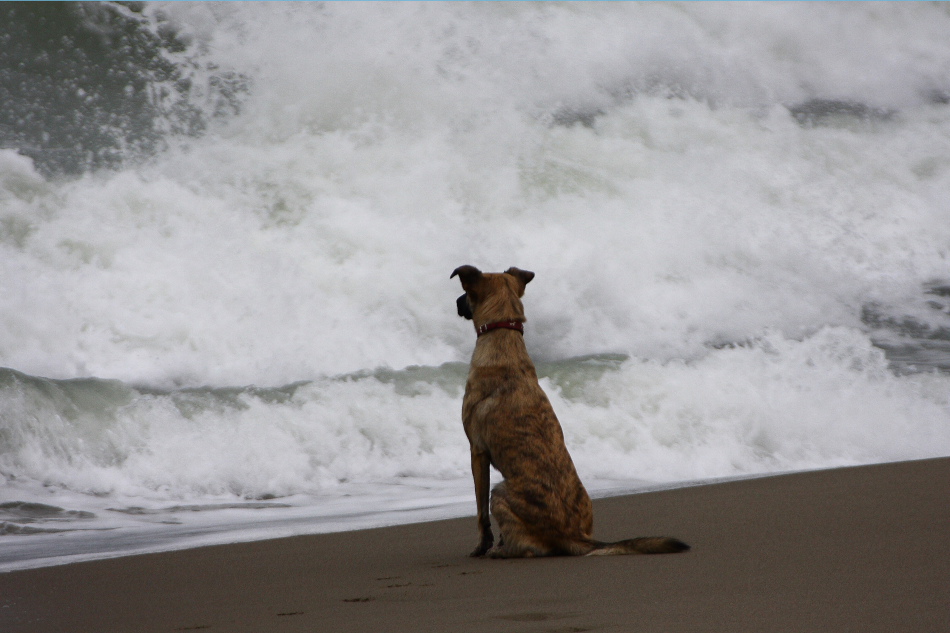 ...no man is an island...