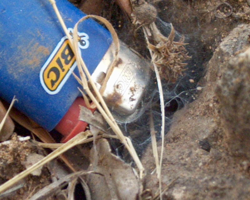 Tana di Ragno con Riscaldamento Autonomo