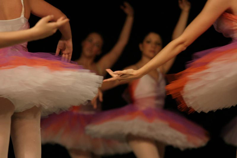 Armonia e danza