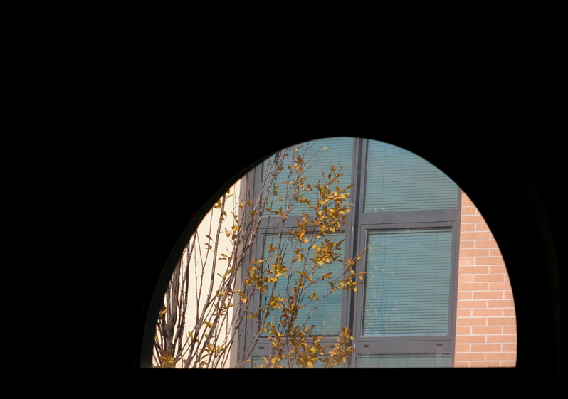 Percezione dell'autunno