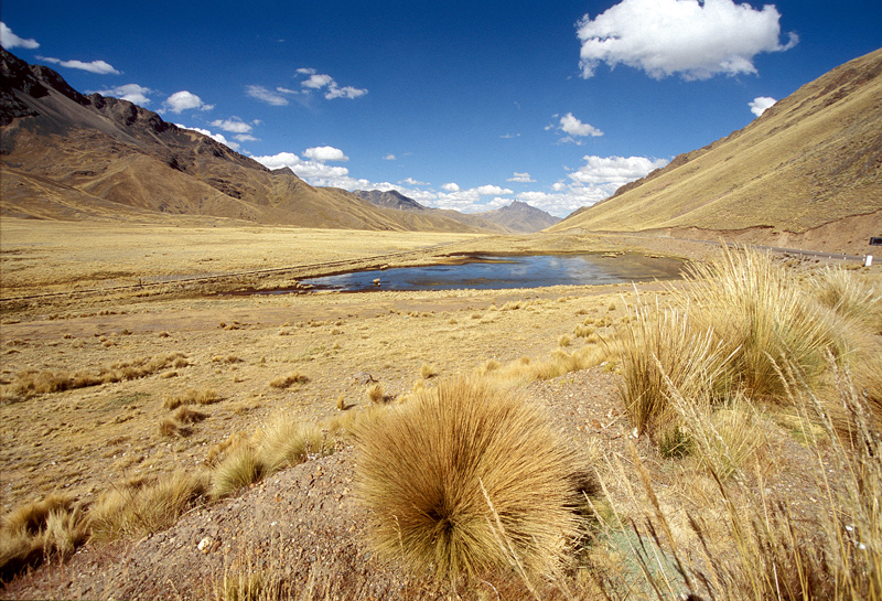 ande...quota 5000!!!