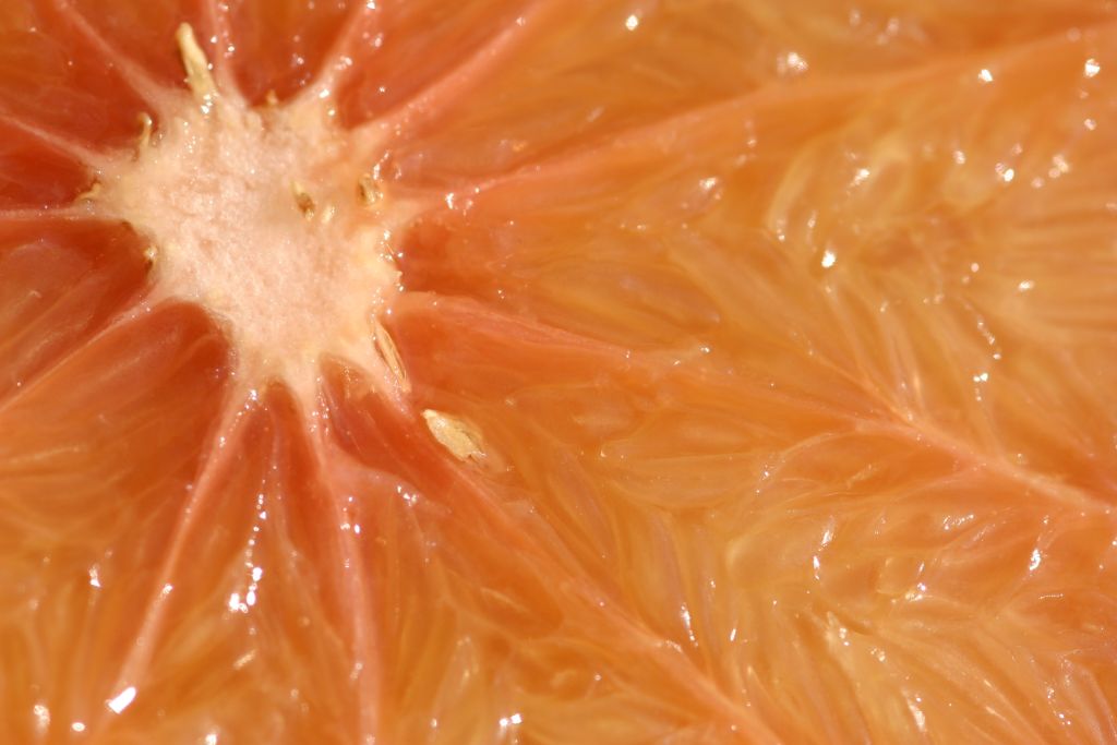 Macro di un pompelmo