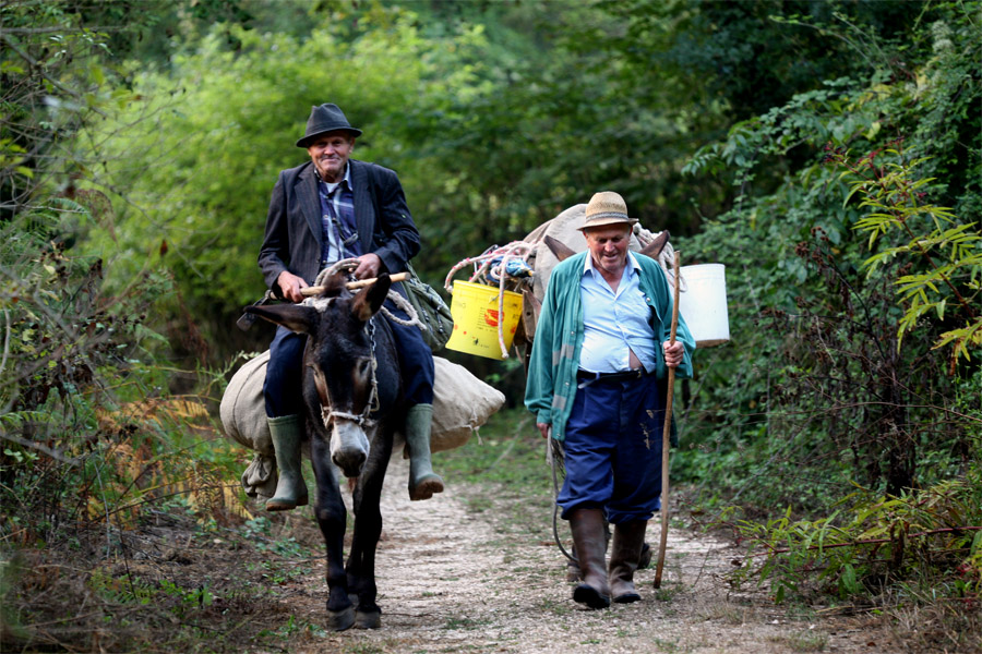Street of country Photog.....