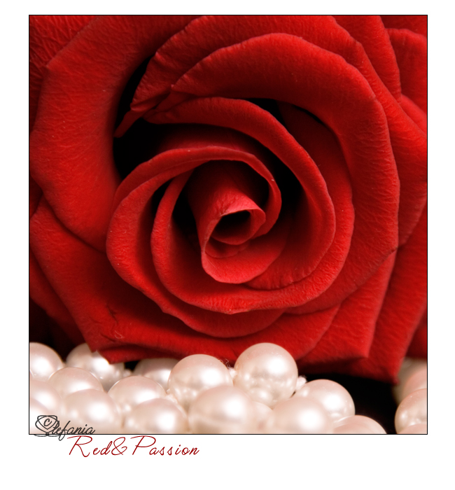 Red&Passion