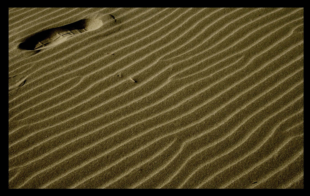 materiale naturale per rilevare tracce di te