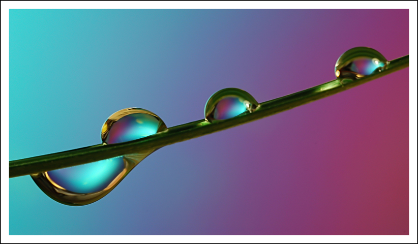 Prove nuovo obiettivo