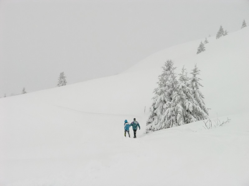 Tra la neve