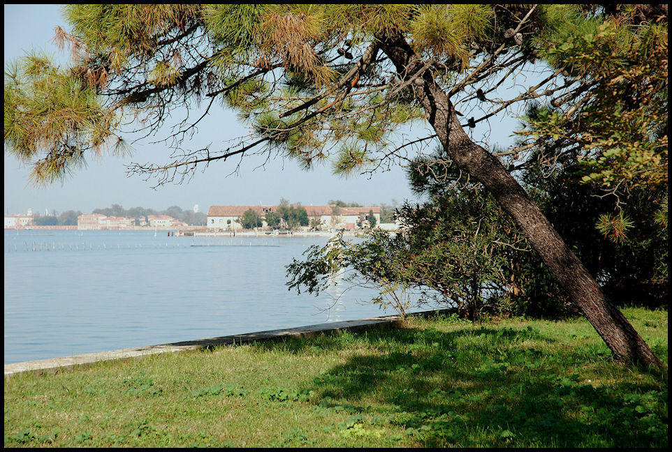 Luce lagunare sul Lazaretto Vecchio