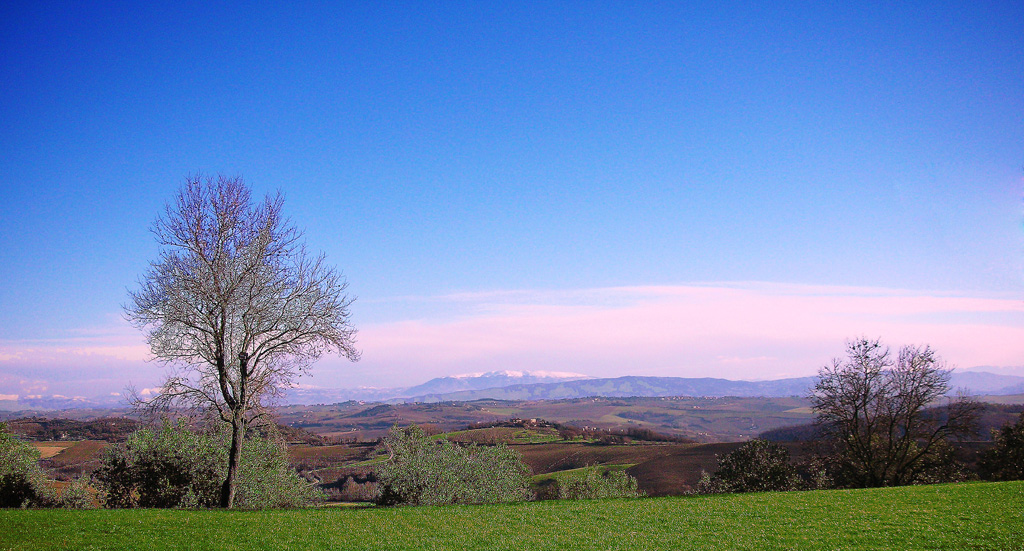 Colline Umbre...... sempre stupende