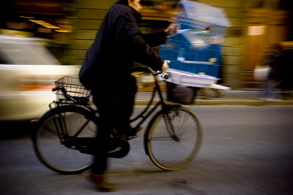 ocio! ocio!! ocio!!!