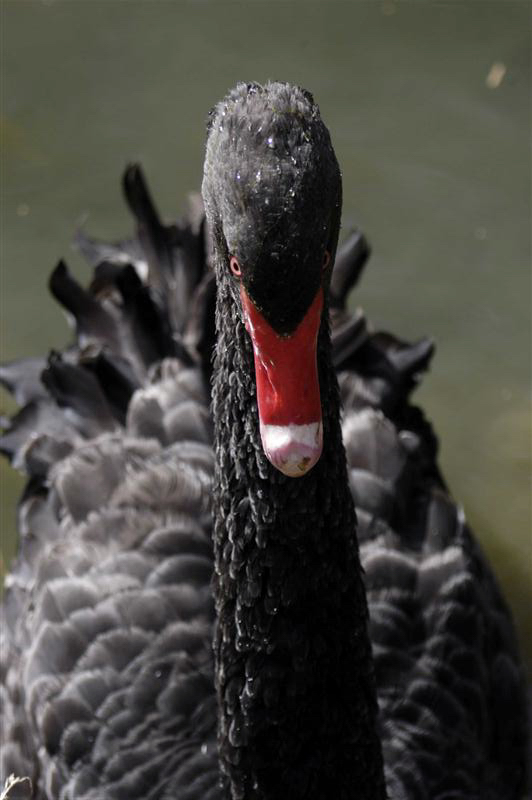 Non fatemi arrabbiare!!!