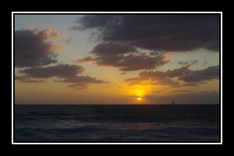 Mare mosso a Marina di Pisa