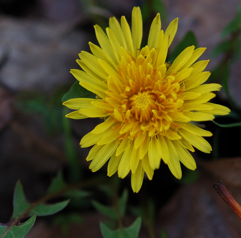 Come sarebbe "E' ancora inverno..."???