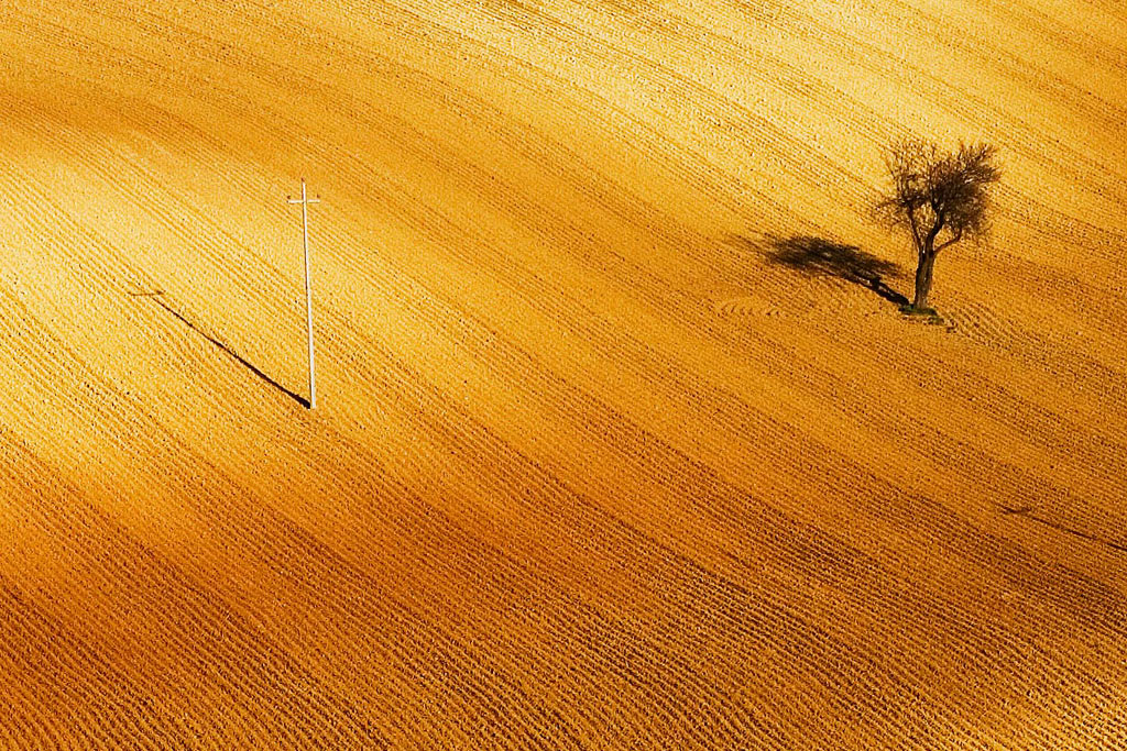 Ho visto Alessandria