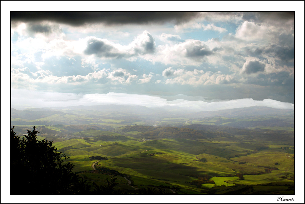 Un mare d'erba (colline di Volterra)