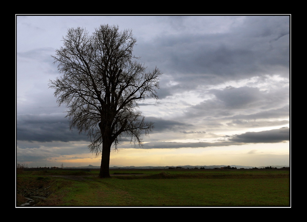 Il guardiano della pianura...