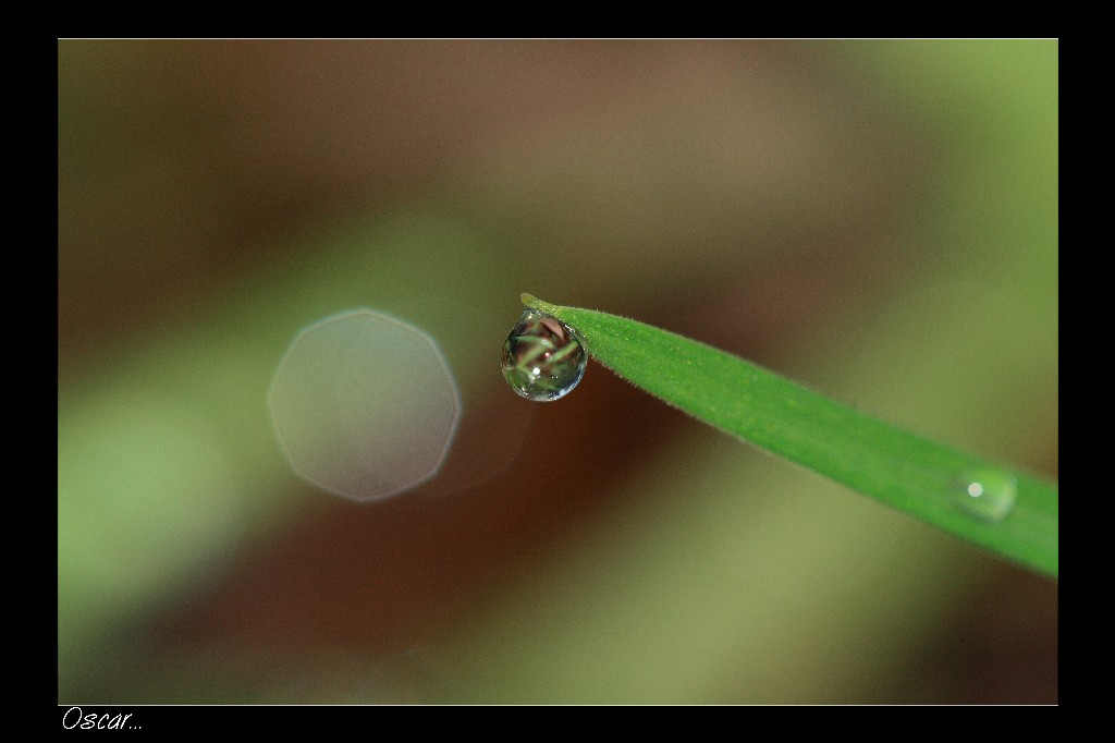 appesa ad asciugare...