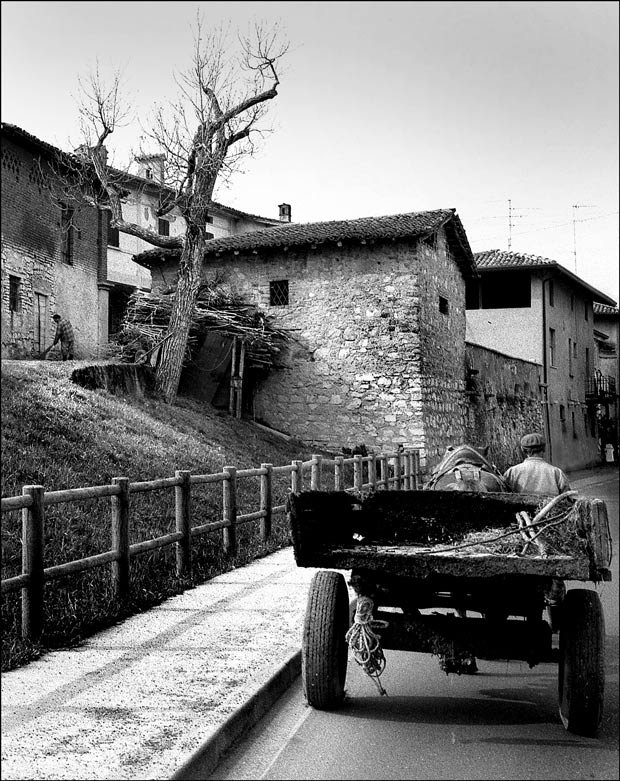 In campagna non � mai Domenica