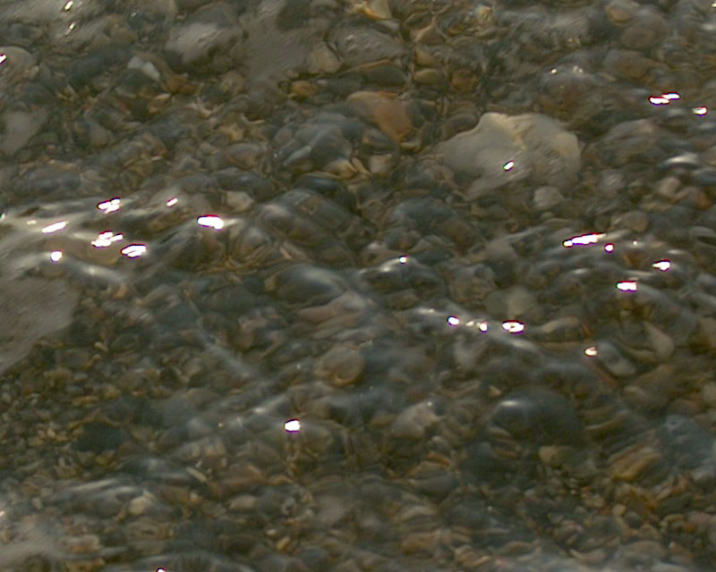 Riflessi e Trasparenze...