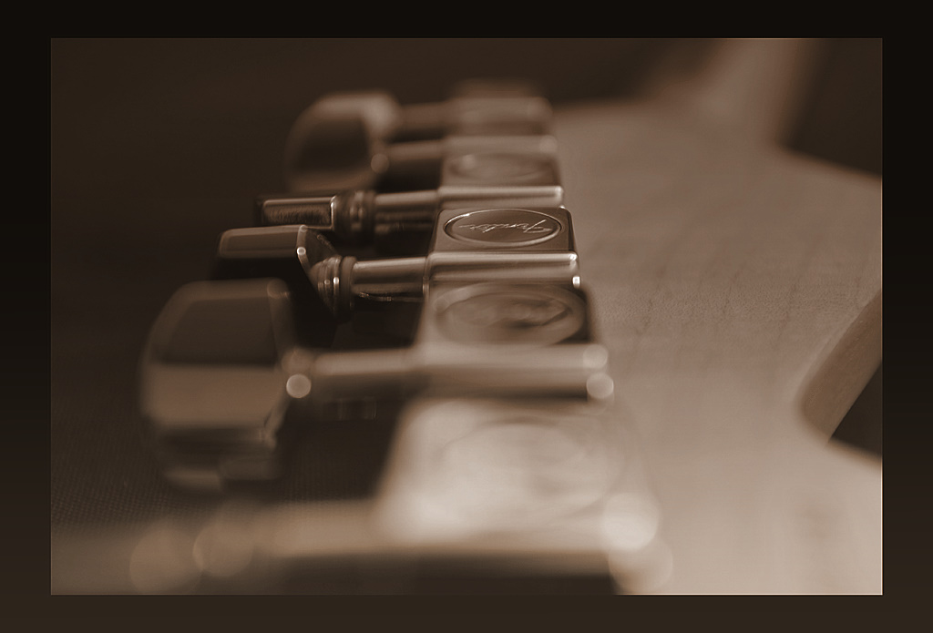 more than 50 years of rock