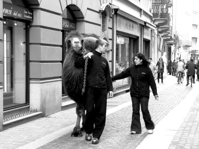 La citt� a volte sembra un deserto