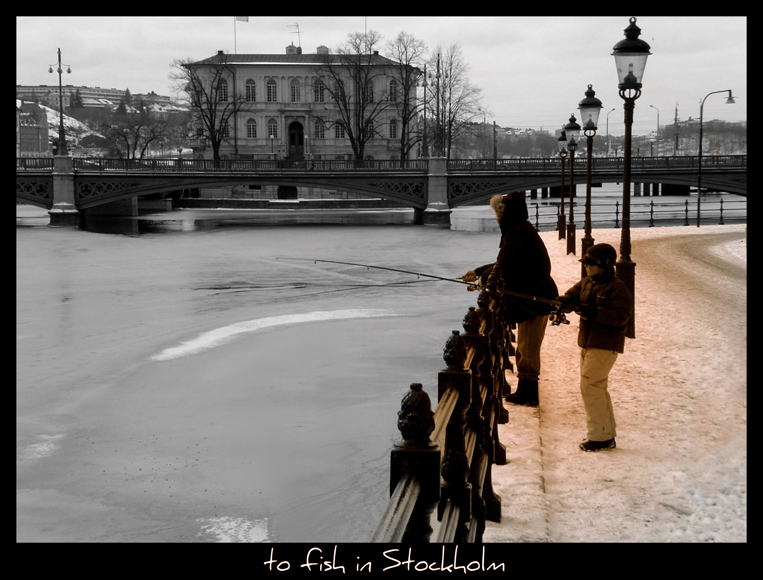 to fish in Stockholm