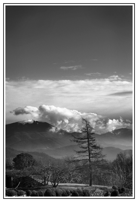 Il giardino d'inverno