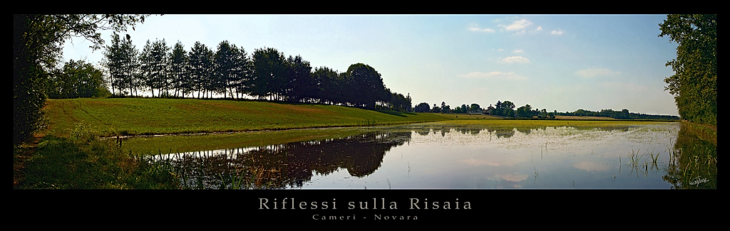 Riflessi sulla Risaia
