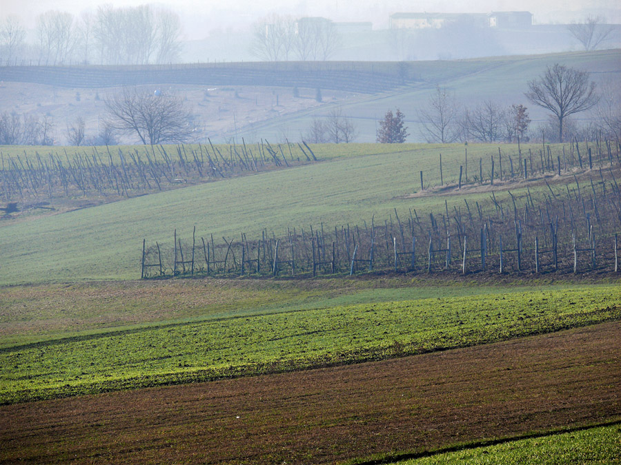 Colline e nebbia