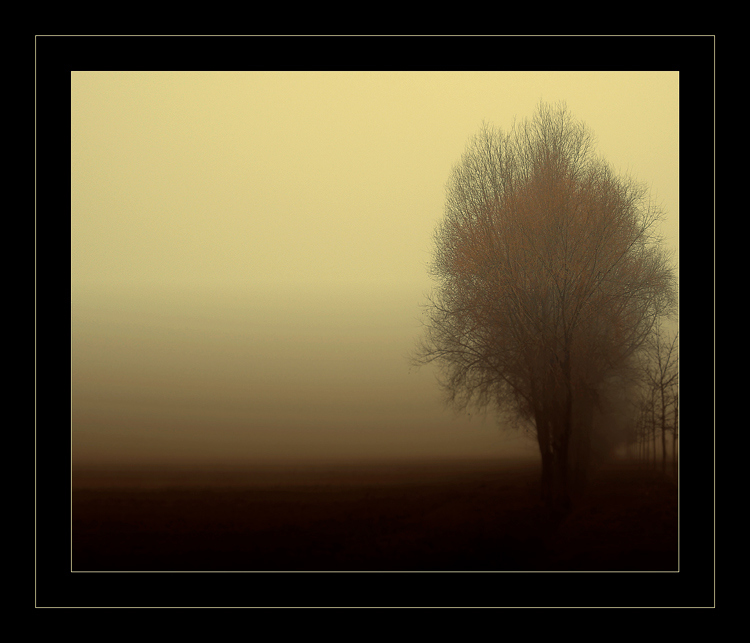 Pensieri confusi...nebbia