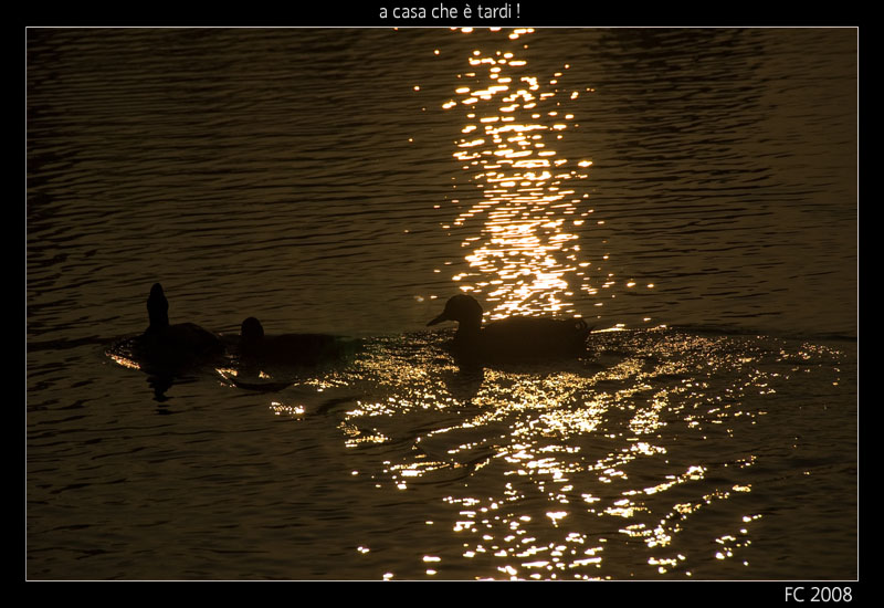 a casa che � tardi !